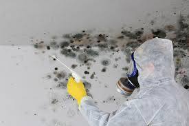 Best Mold Removal for HVAC Installations  in David City, NE